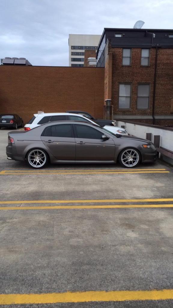2008 Acura TL photo