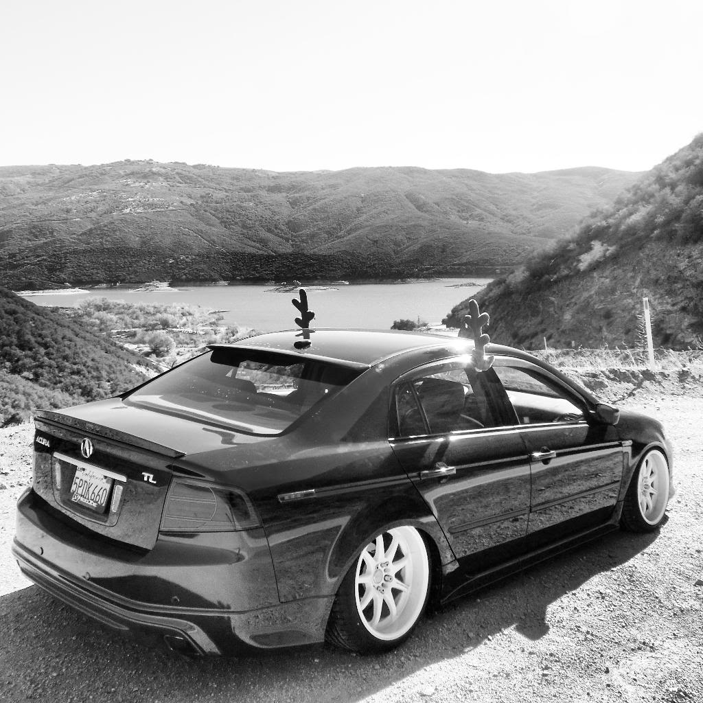 2008 Acura TL photo
