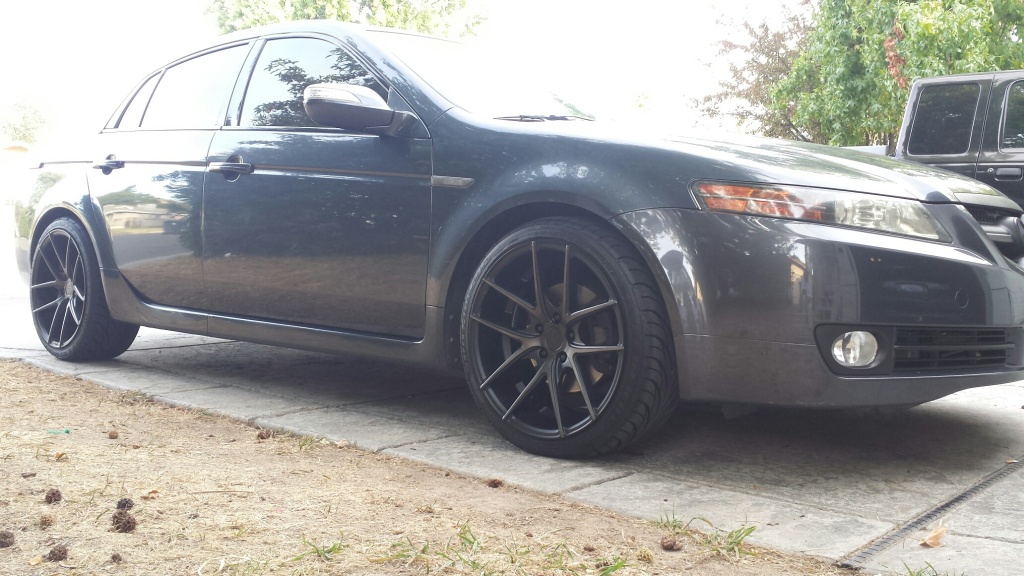 2008 Acura TL photo