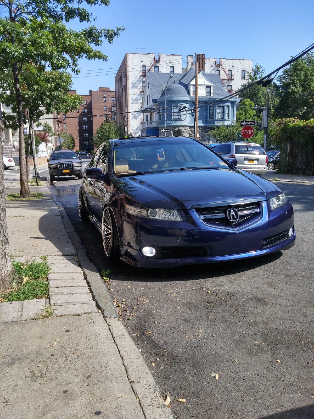 2008 Acura TL photo