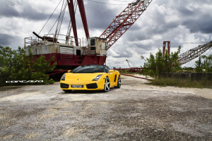 2011 Lamborghini Gallardo