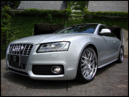 2008 Audi S5