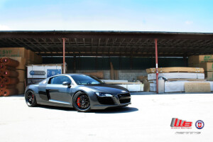 2008 Audi R8