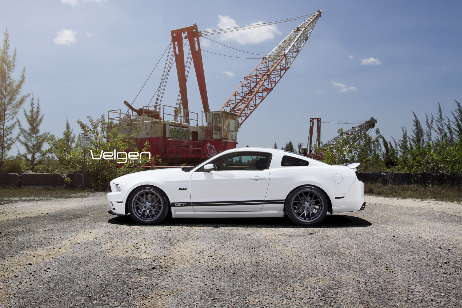 2014 Ford Mustang photo