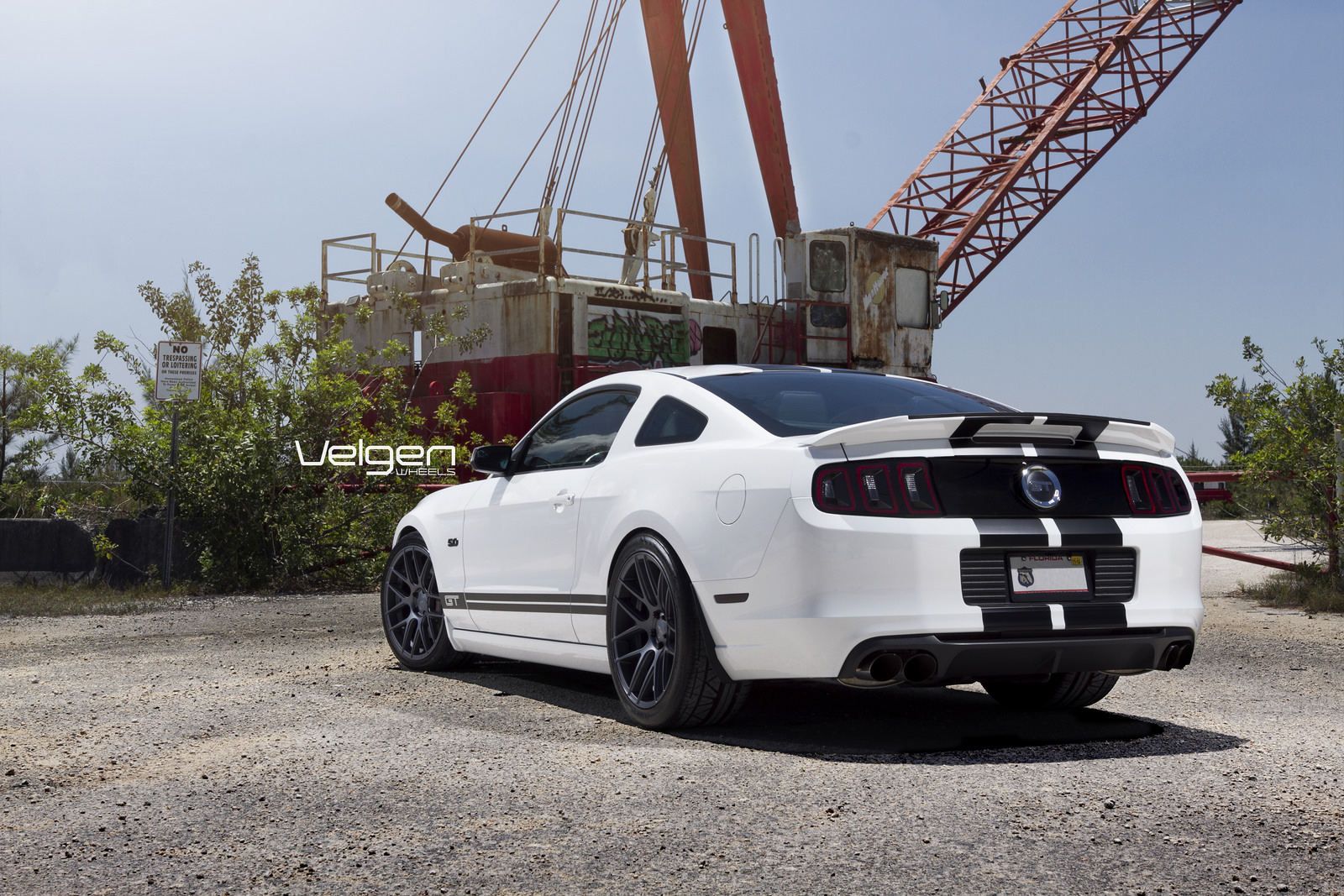 2014 Ford Mustang photo