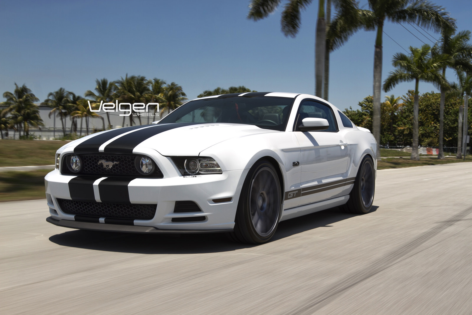 2014 Ford Mustang photo