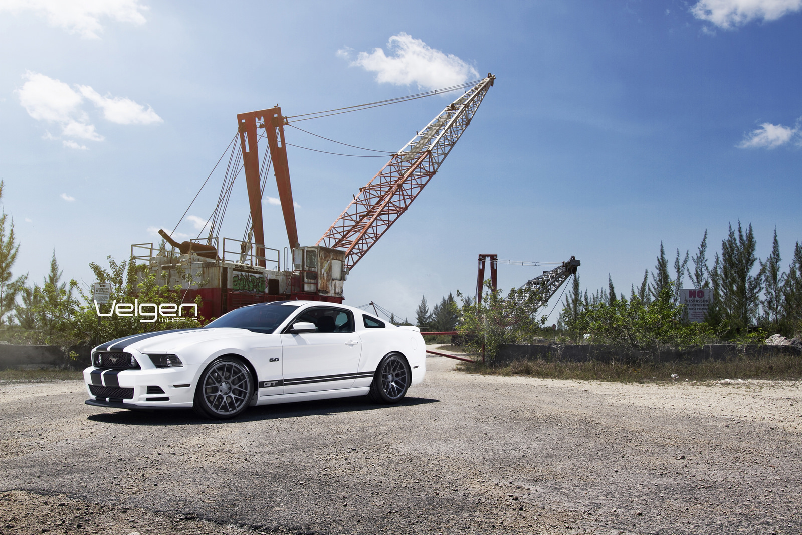 2014 Ford Mustang photo