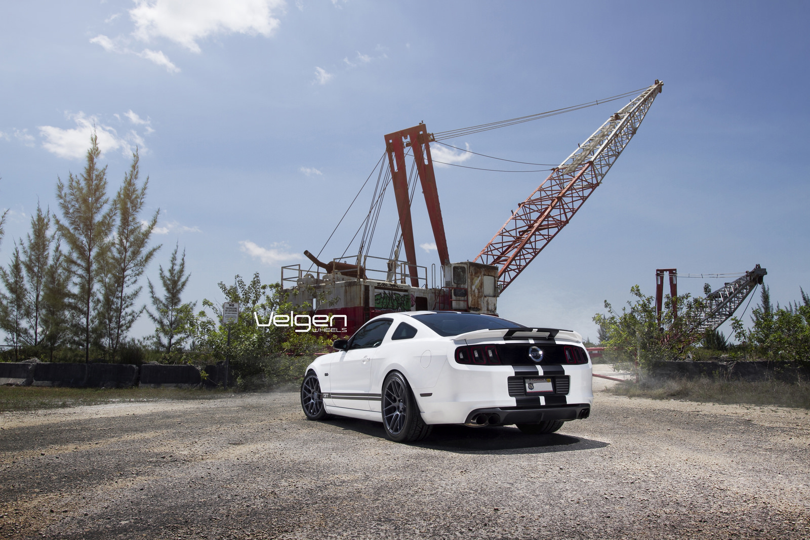 2014 Ford Mustang photo