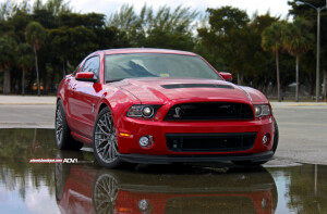 2014 Ford Shelby GT500