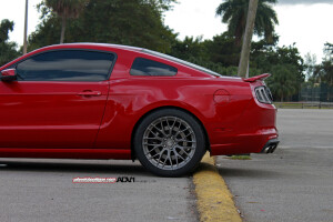 2014 Ford Shelby GT500
