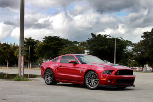 2014 Ford Shelby GT500