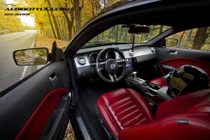 2007 Ford Mustang