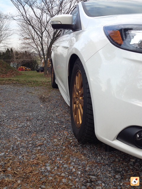 2013 Ford Focus ST photo