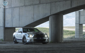 2013 Ford Shelby GT500