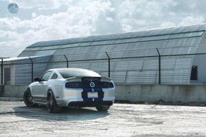 2013 Ford Shelby GT500