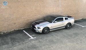 2013 Ford Shelby GT500