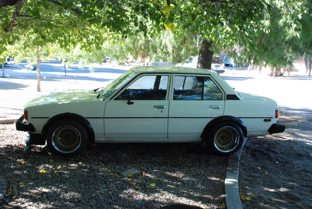 1980 Toyota Corolla photo