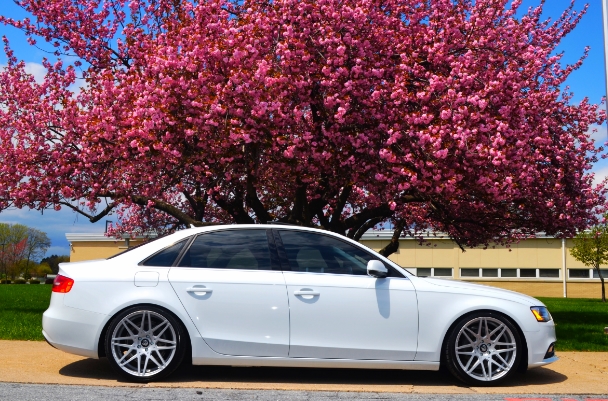 2009 Audi A4 photo