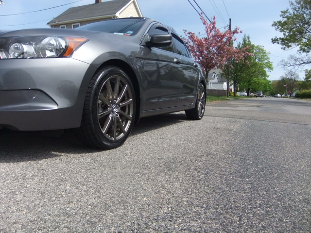 2009 Honda Accord photo