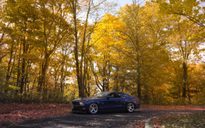 2012 Ford Mustang
