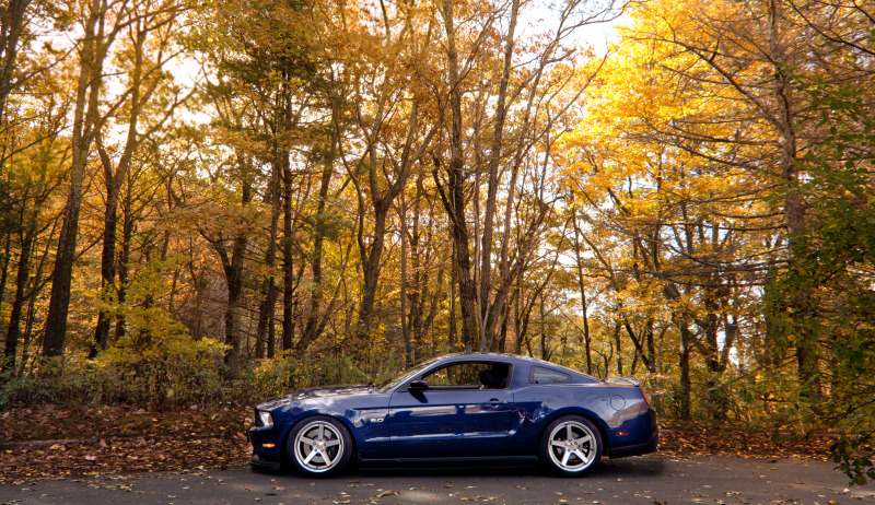2012 Ford Mustang photo