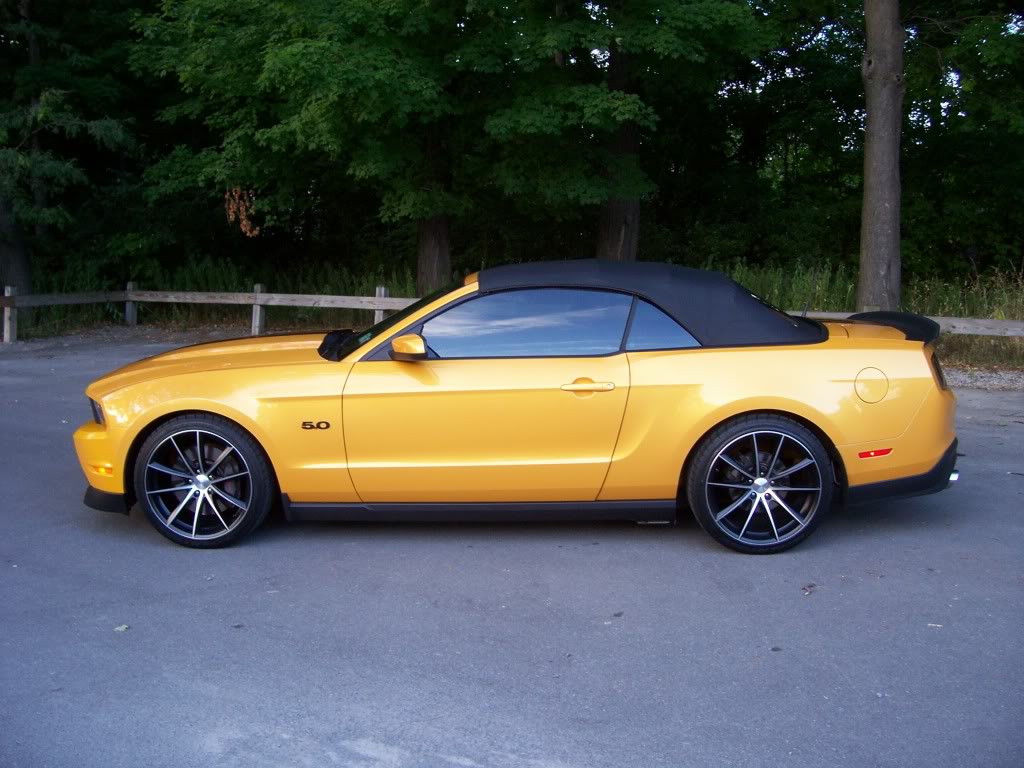 2011 Ford Mustang photo