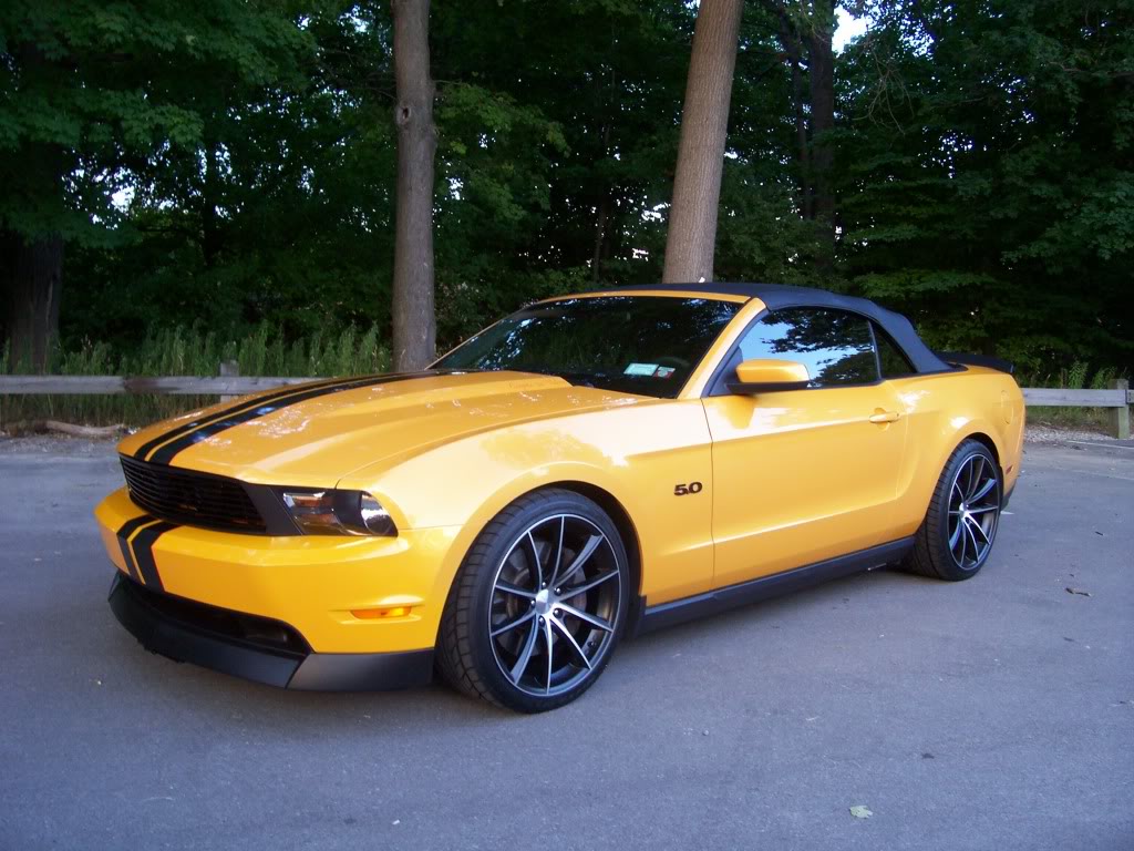2011 Ford Mustang photo