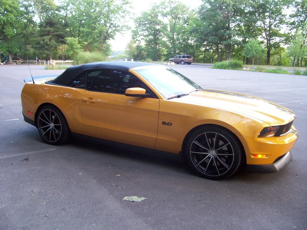 2011 Ford Mustang photo