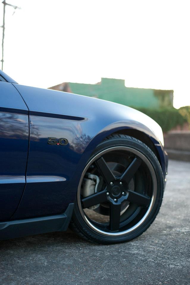 2012 Ford Mustang photo