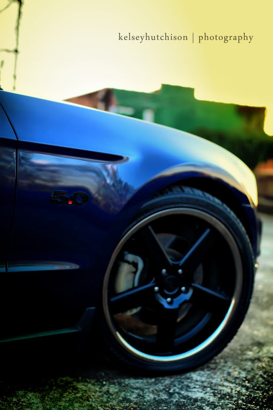 2012 Ford Mustang photo