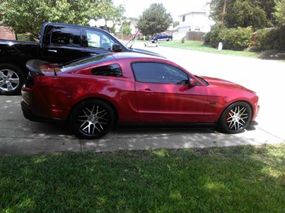 2013 Ford Mustang photo