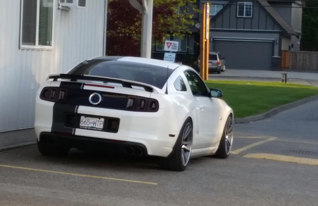 2011 Ford Mustang photo