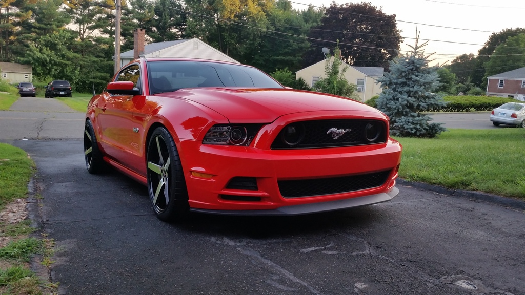 2011 Ford Mustang photo