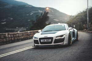 2015 Audi R8