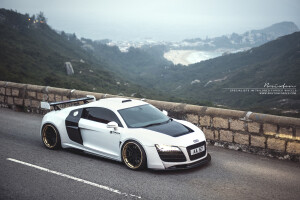 2015 Audi R8