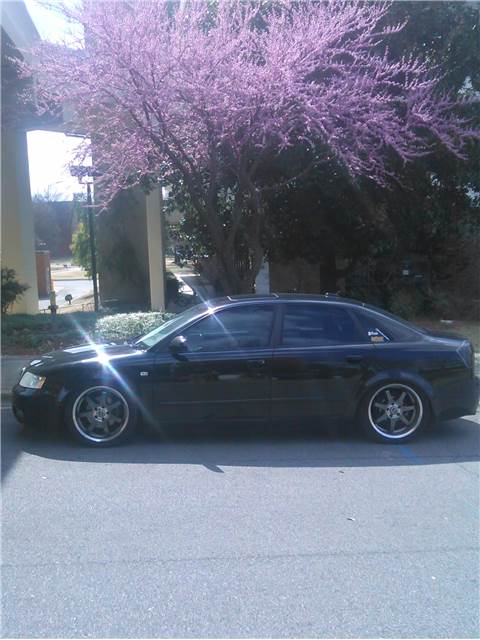 2004 Audi A4 photo