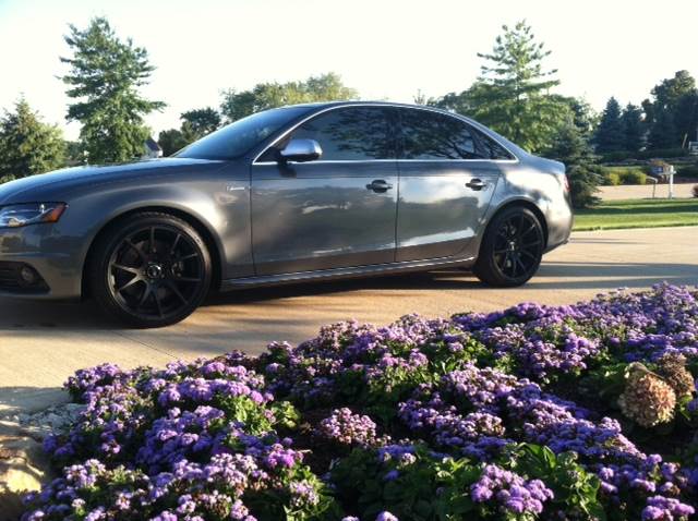 2013 Audi S4 photo