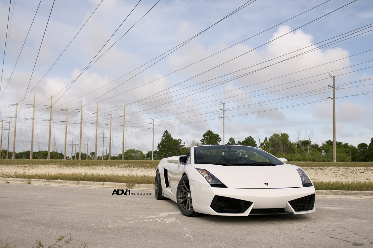 2011 Lamborghini Gallardo photo
