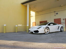 2010 Lamborghini Gallardo