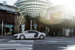 2010 Audi R8
