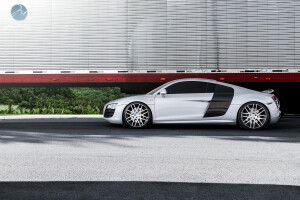 2010 Audi R8