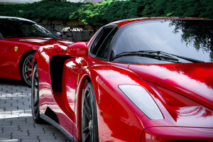 2003 Ferrari Enzo