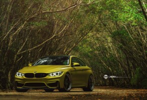 2015 BMW M4