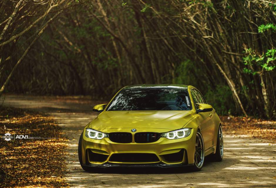 2015 BMW M4 photo