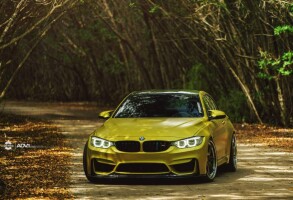 2015 BMW M4