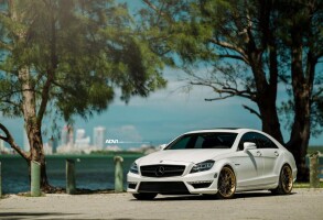 2012 Mercedes-Benz CLS-Class