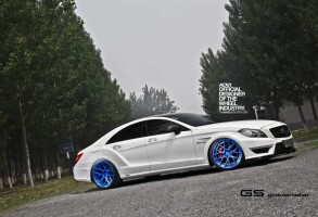 2015 Mercedes-Benz CLS-Class