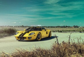 2006 Ford GT