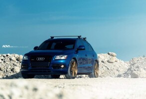 2015 Audi SQ5