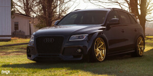 2015 Audi SQ5